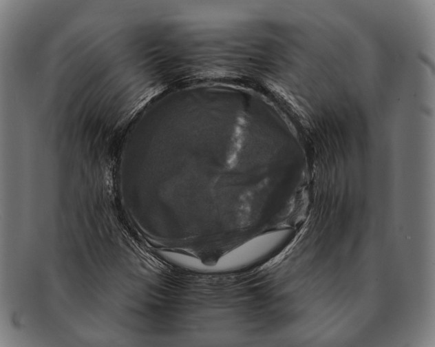 X0000091481305200709131804