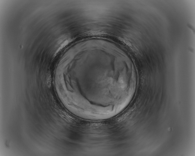 X0000091481306200709131804