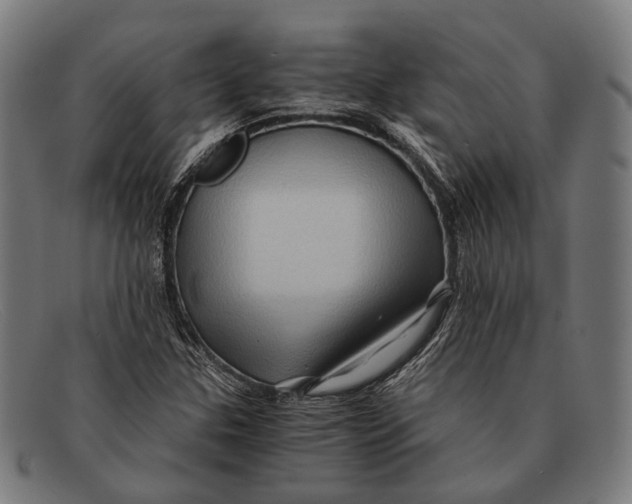 X0000091481307200709131804