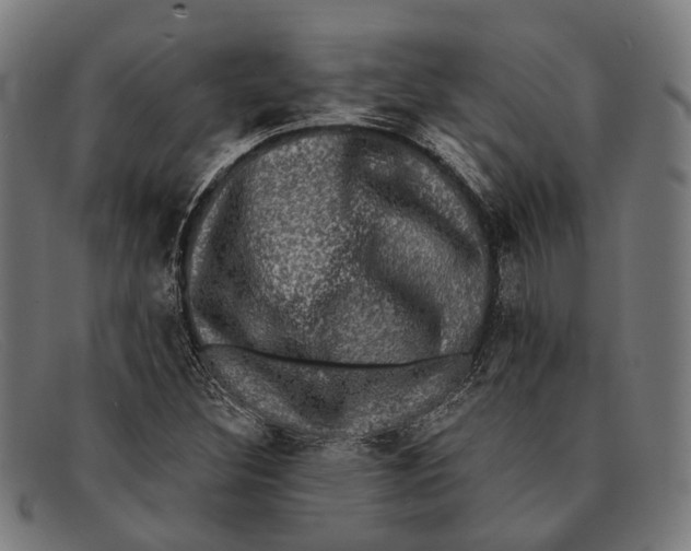 X0000091481308200709131804