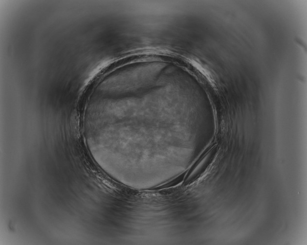 X0000091481310200709131804