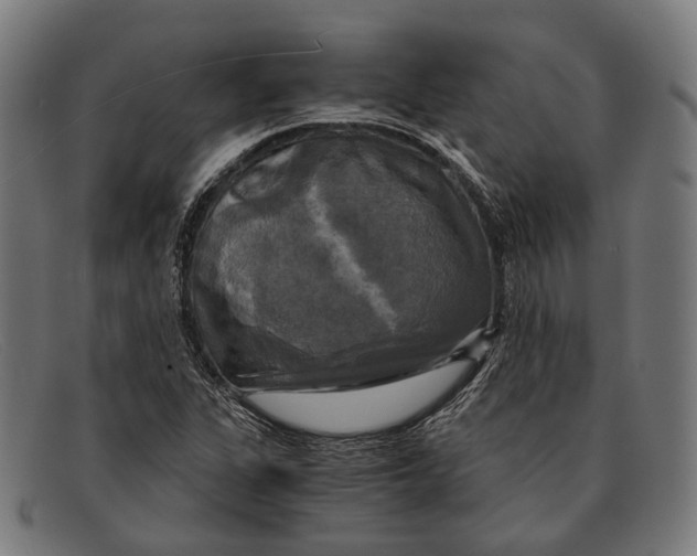 X0000091481311200709131804