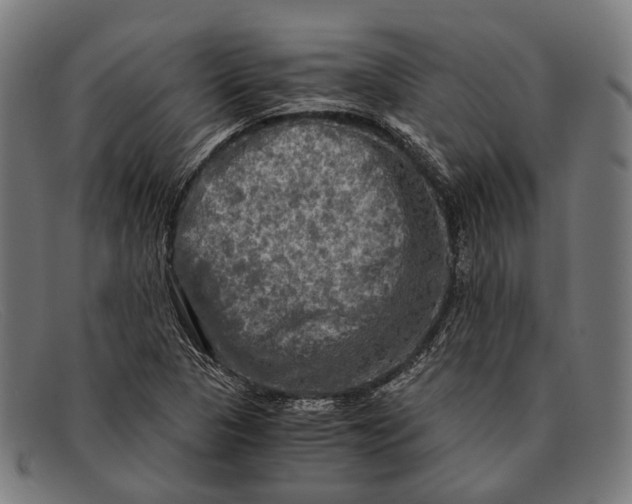 X0000091481313200709131804