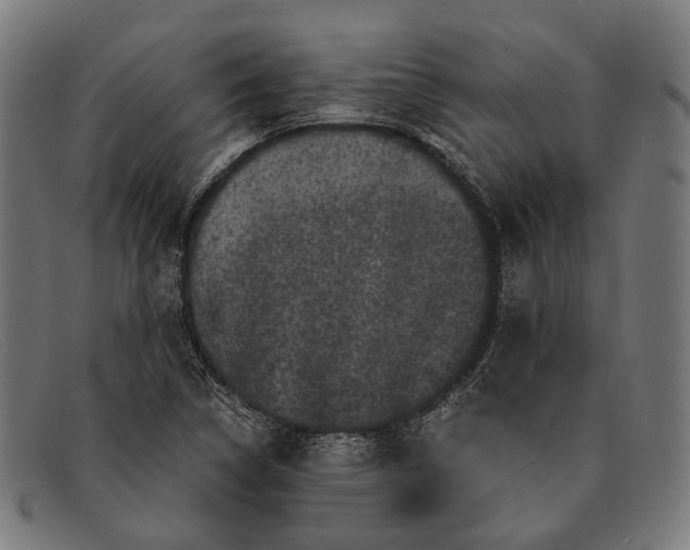 X0000091481314200709131804