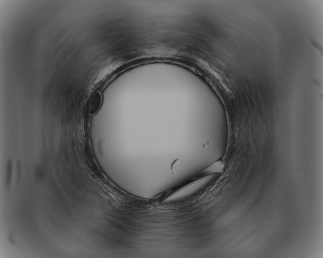 X0000091481315200709131804