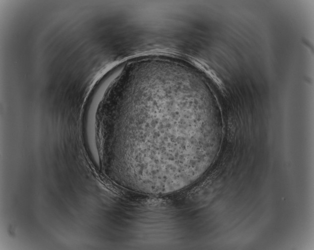 X0000091481316200709131804