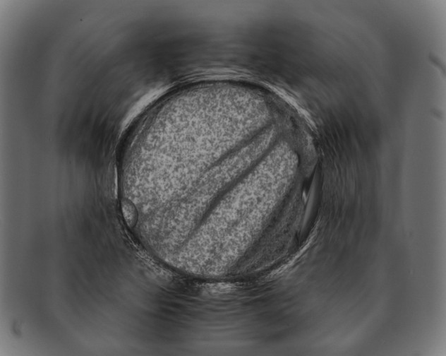 X0000091481317200709131804