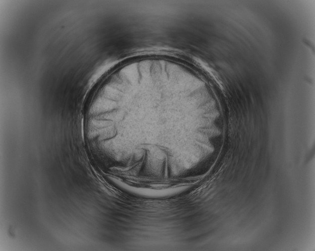 X0000091481320200709131804