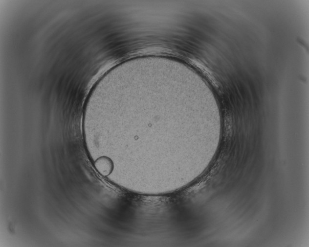 X0000091481322200709131804