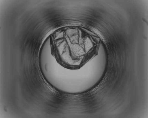 X0000091481324200709131804