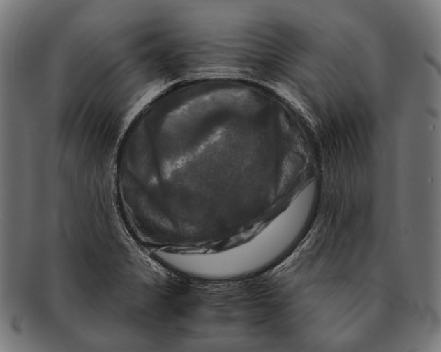 X0000091481325200709131804