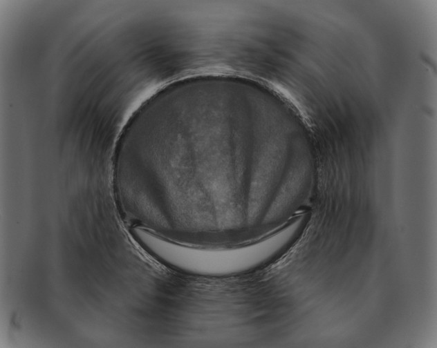 X0000091481326200709131804