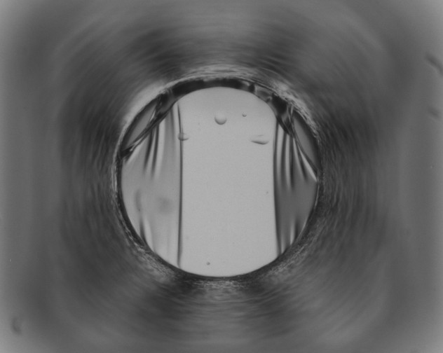 X0000091481328200709131804