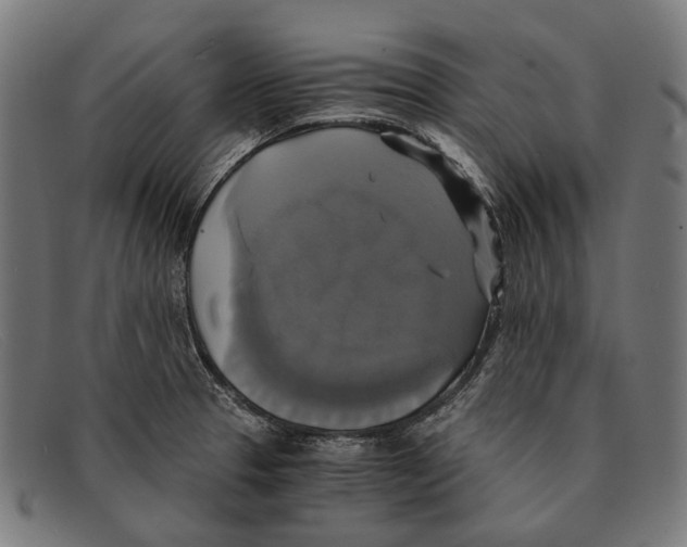 X0000091481329200709131804