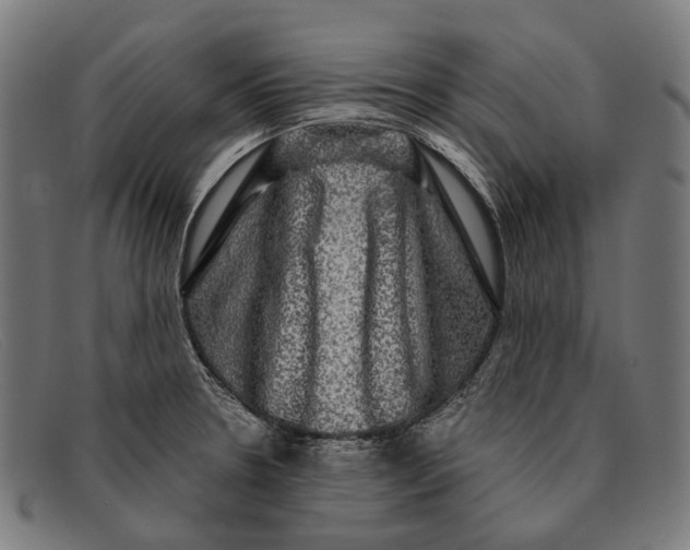 X0000091481330200709131804