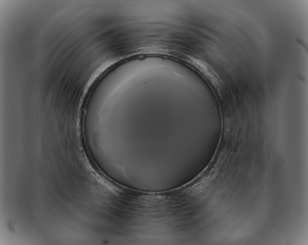 X0000091481331200709131804