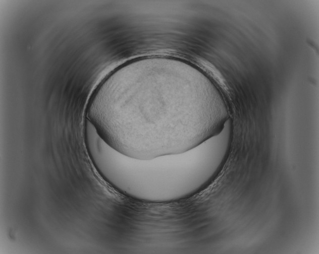 X0000091481332200709131804