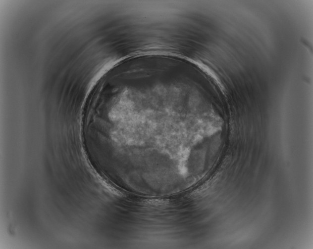 X0000091481333200709131804