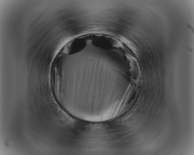 X0000091481334200709131804