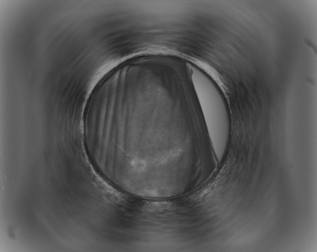 X0000091481335200709131804