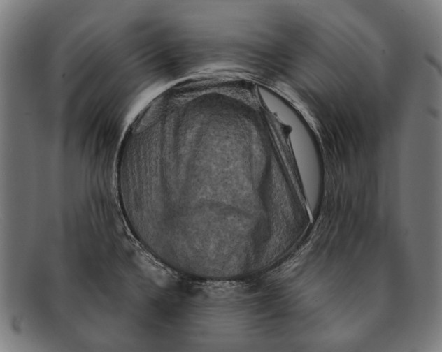 X0000091481336200709131804