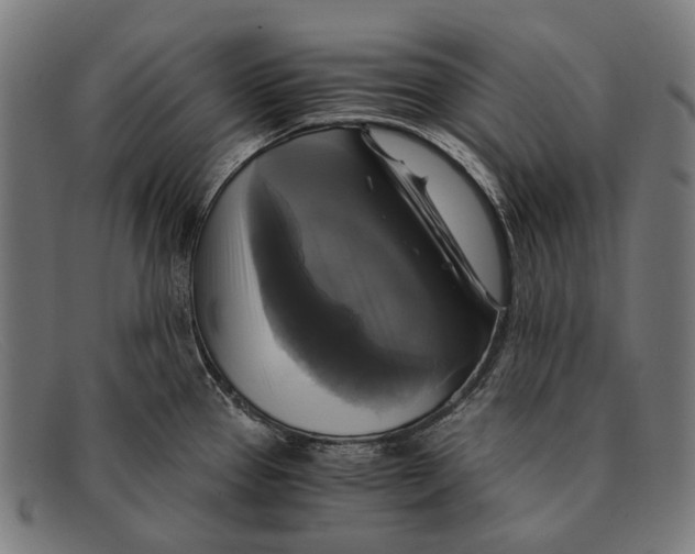 X0000091481337200709131804