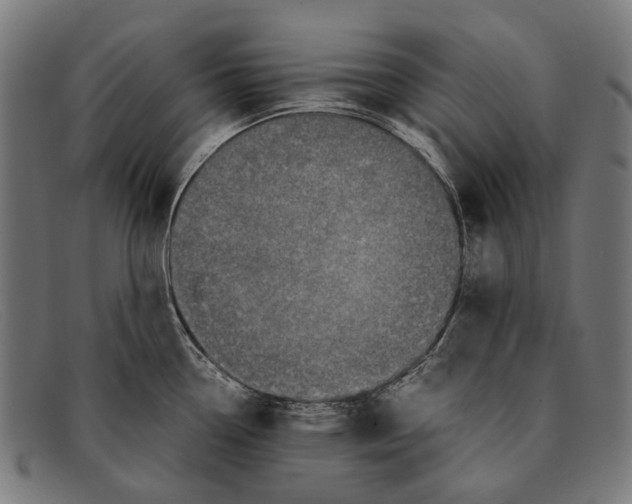 X0000091481338200709131804