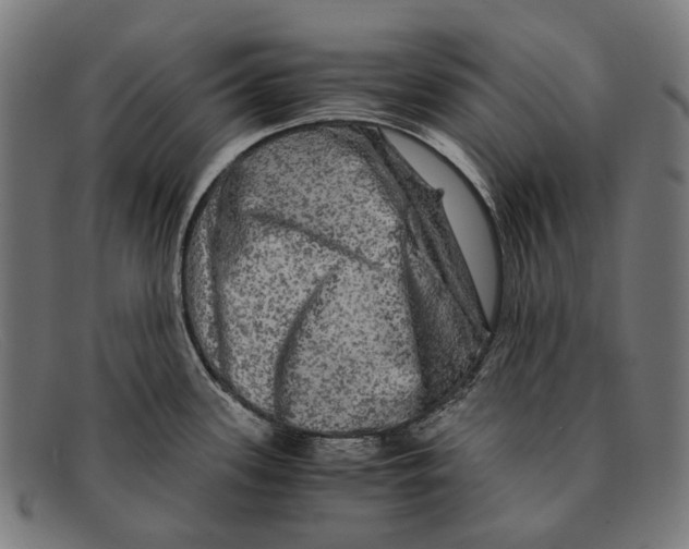 X0000091481339200709131804