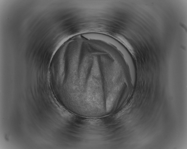 X0000091481340200709131804