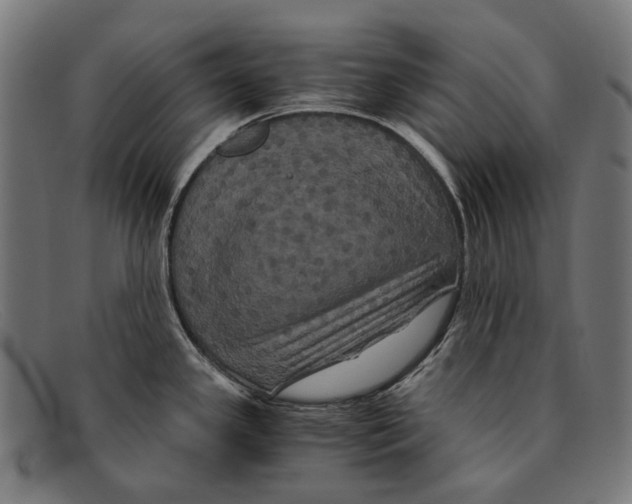 X0000091481341200709131804