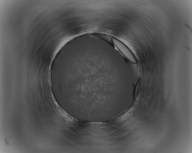 X0000091481342200709131804