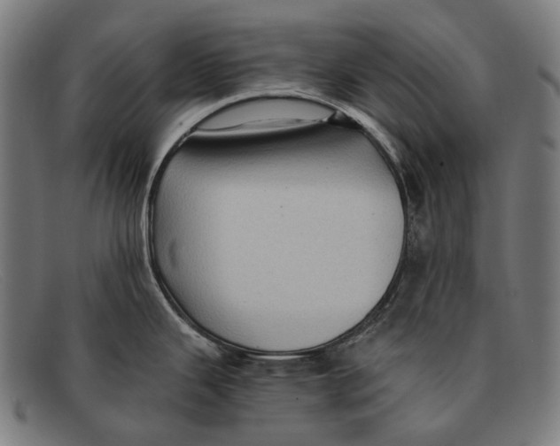 X0000091481343200709131804