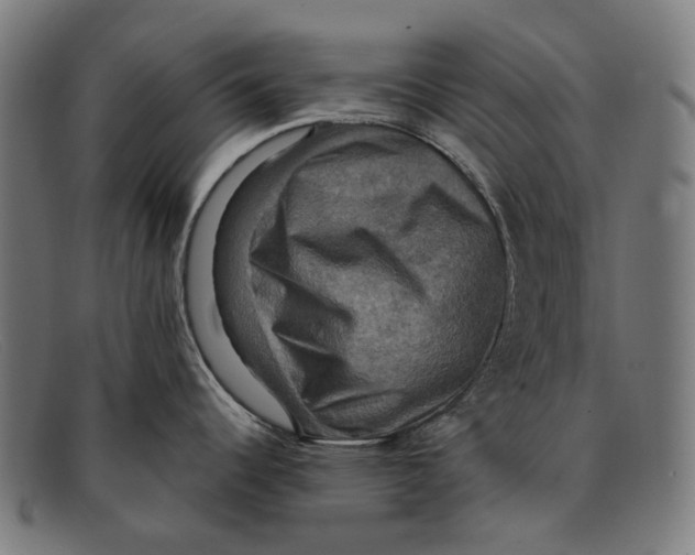 X0000091481344200709131804