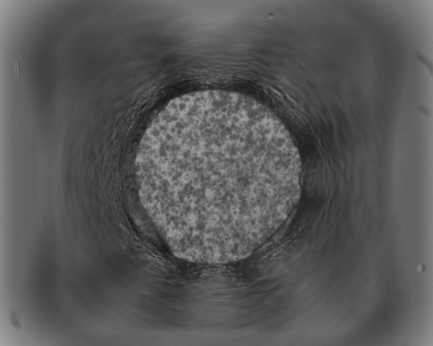 X0000091481345200709131804