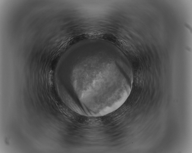 X0000091481346200709131804