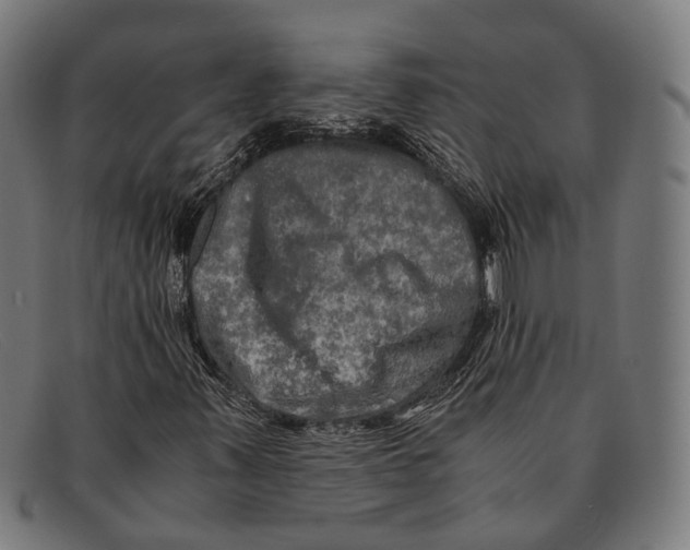 X0000091481347200709131804