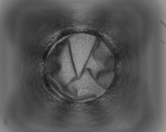 X0000091481349200709131804