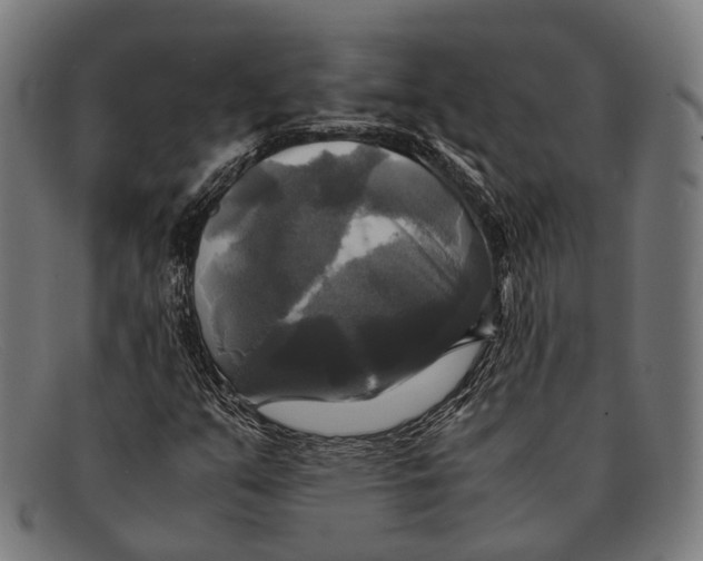 X0000091481351200709131803