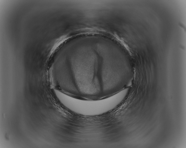 X0000091481352200709131803