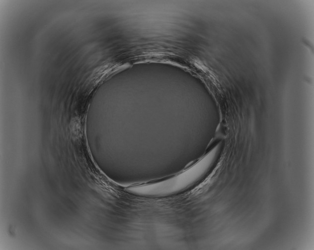 X0000091481353200709131803