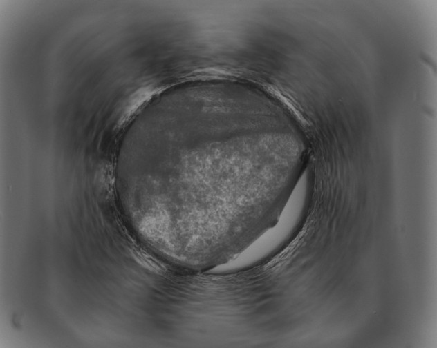 X0000091481355200709131803