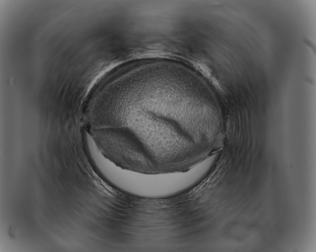 X0000091481356200709131803