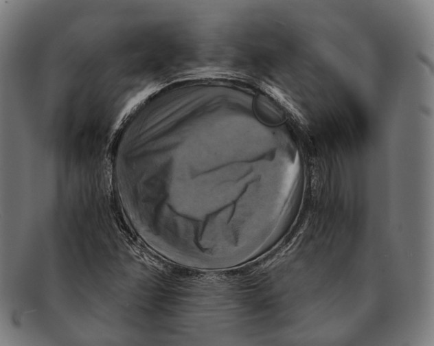 X0000091481358200709131803