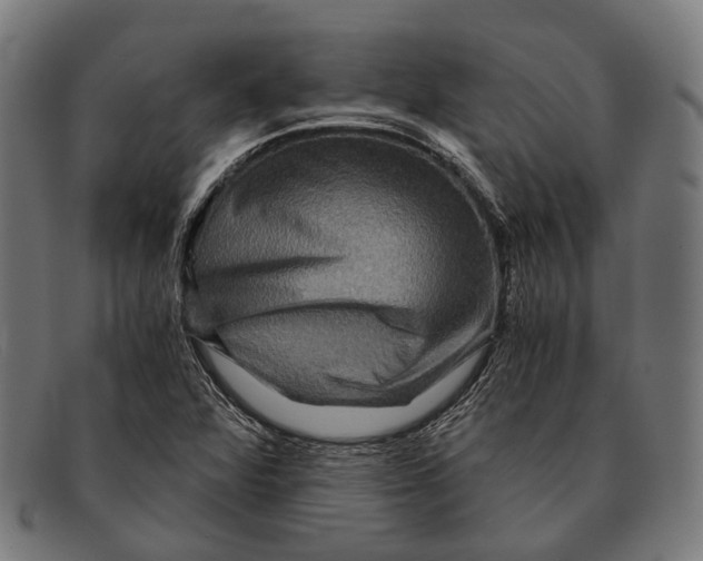 X0000091481360200709131803