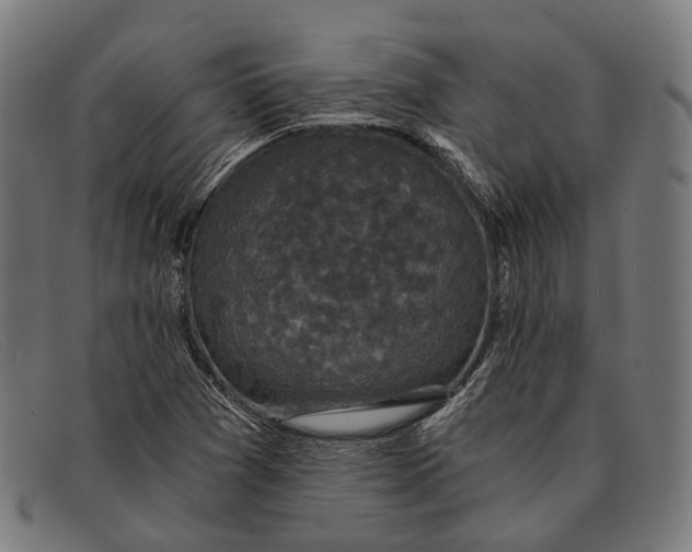 X0000091481361200709131803