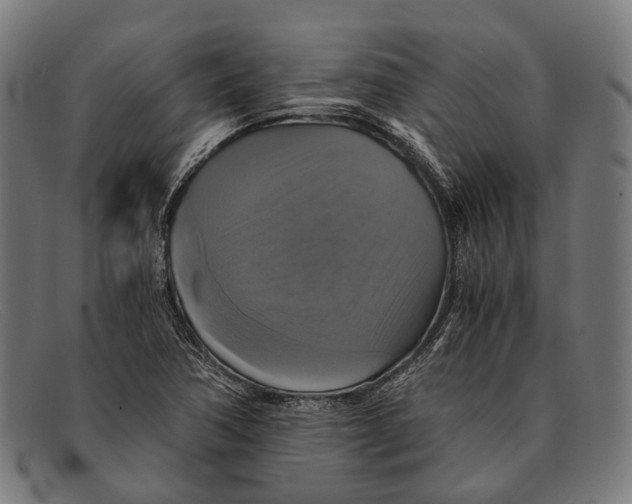 X0000091481362200709131803