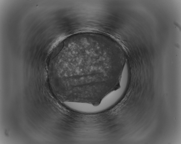 X0000091481363200709131803