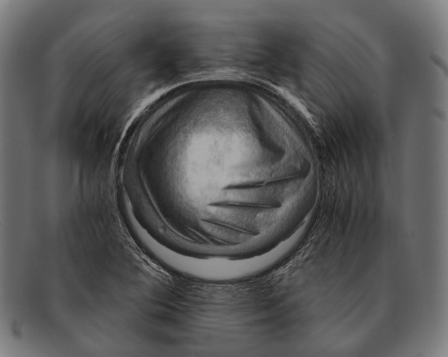 X0000091481364200709131803