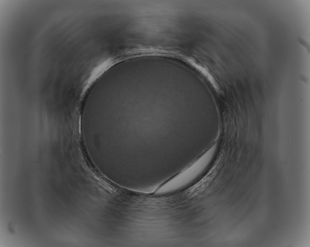 X0000091481365200709131803