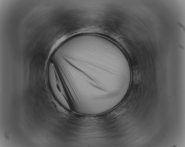 X0000091481366200709131803